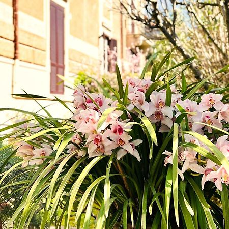 Villa Michelangelo Deluxe 罗马 外观 照片